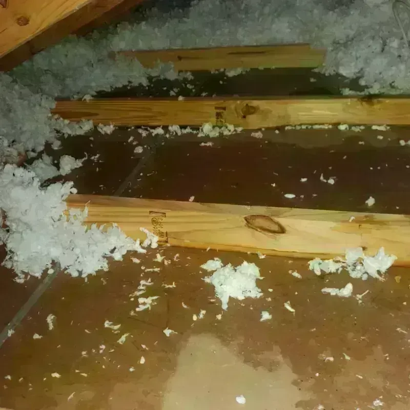 Attic Water Damage in Tiptonville, TN